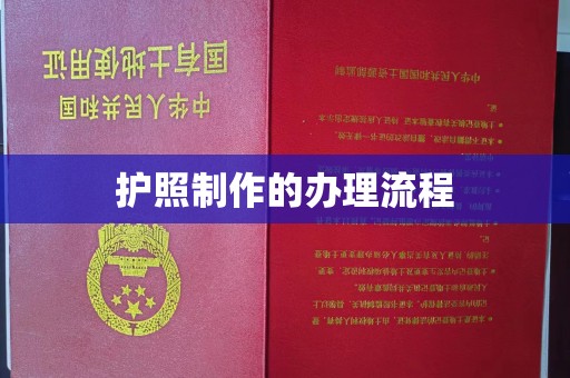 乐都护照制作的办理流程