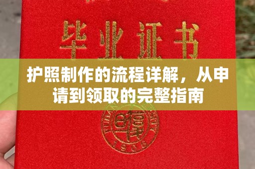 乐都护照制作的流程详解，从申请到领取的完整指南