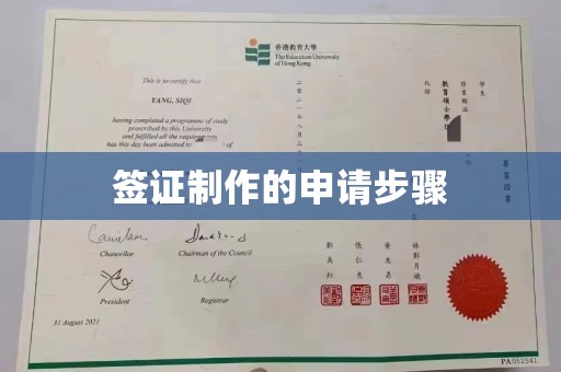 乐都签证制作的申请步骤