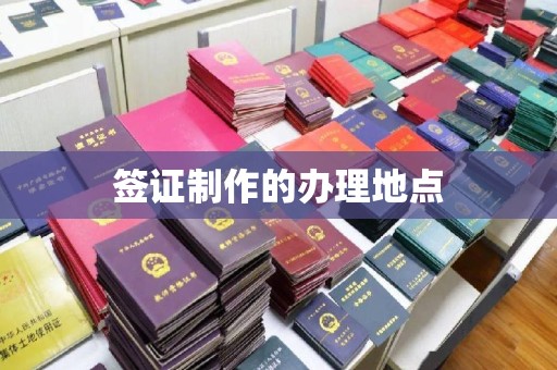 乐都签证制作的办理地点