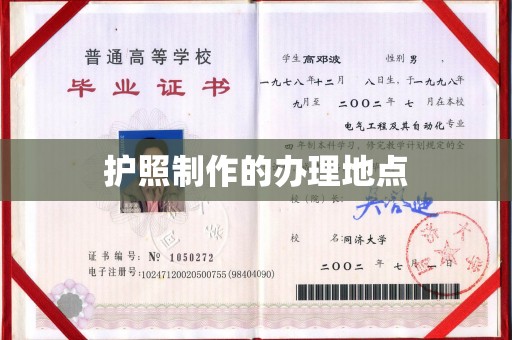 乐都护照制作的办理地点