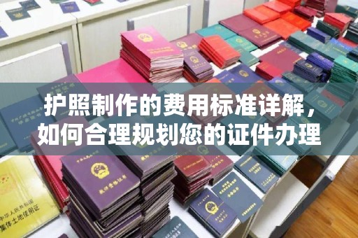 乐都护照制作的费用标准详解，如何合理规划您的证件办理预算