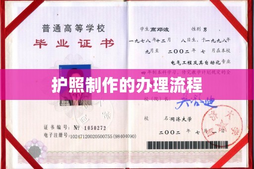 乐都护照制作的办理流程
