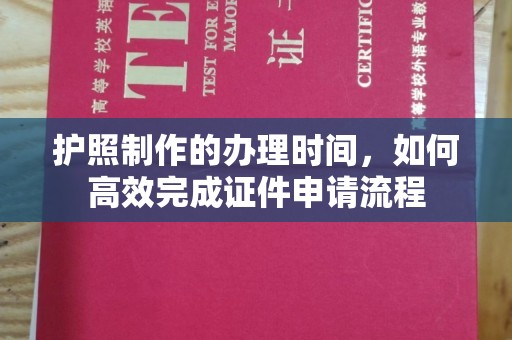 乐都护照制作的办理时间，如何高效完成证件申请流程