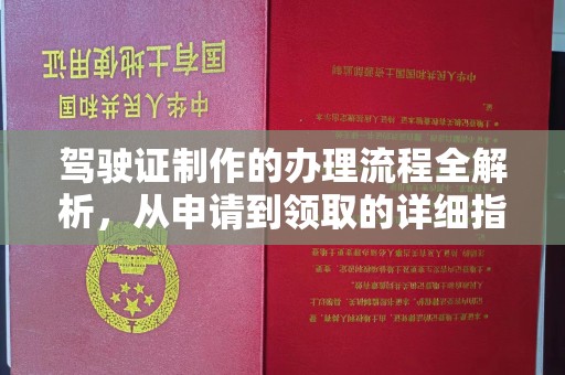 乐都驾驶证制作的办理流程全解析，从申请到领取的详细指南