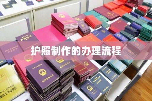 乐都护照制作的办理流程