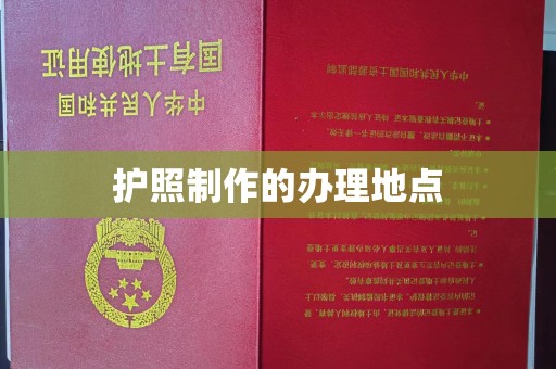 乐都护照制作的办理地点