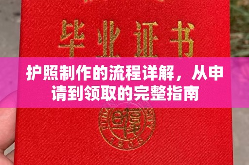 乐都护照制作的流程详解，从申请到领取的完整指南
