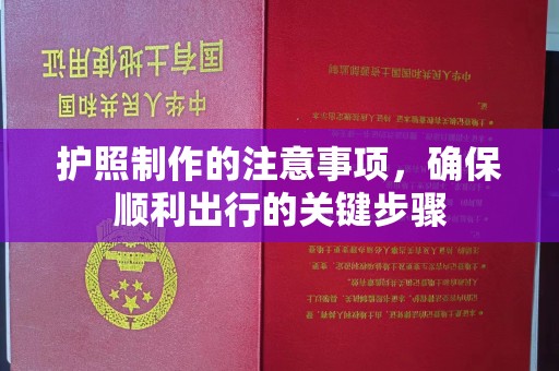 乐都护照制作的注意事项，确保顺利出行的关键步骤