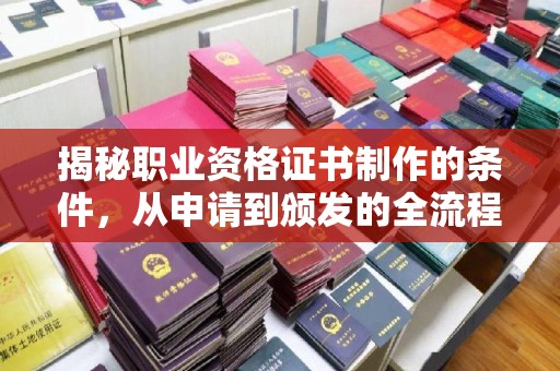 乐都揭秘职业资格证书制作的条件，从申请到颁发的全流程解析