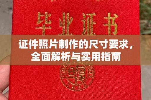 乐都证件照片制作的尺寸要求，全面解析与实用指南