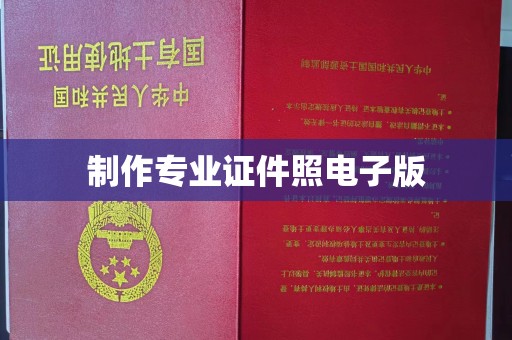 乐都制作专业证件照电子版