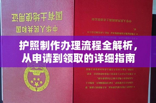乐都护照制作办理流程全解析，从申请到领取的详细指南
