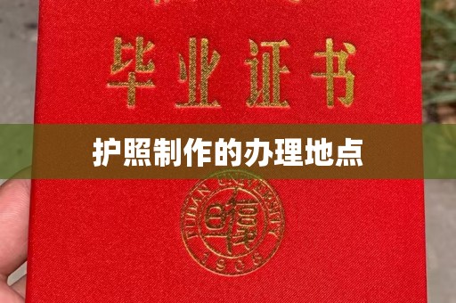 乐都护照制作的办理地点