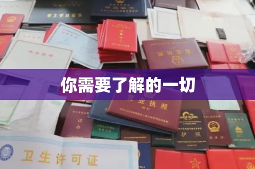 乐都你需要了解的一切