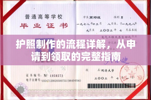 乐都护照制作的流程详解，从申请到领取的完整指南