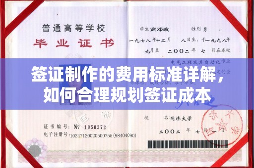乐都签证制作的费用标准详解，如何合理规划签证成本