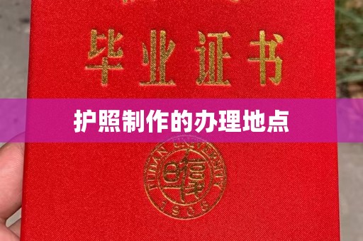 乐都护照制作的办理地点