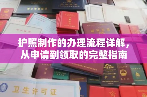 乐都护照制作的办理流程详解，从申请到领取的完整指南