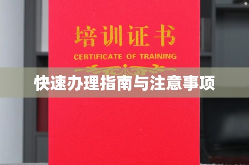 乐都快速办理指南与注意事项